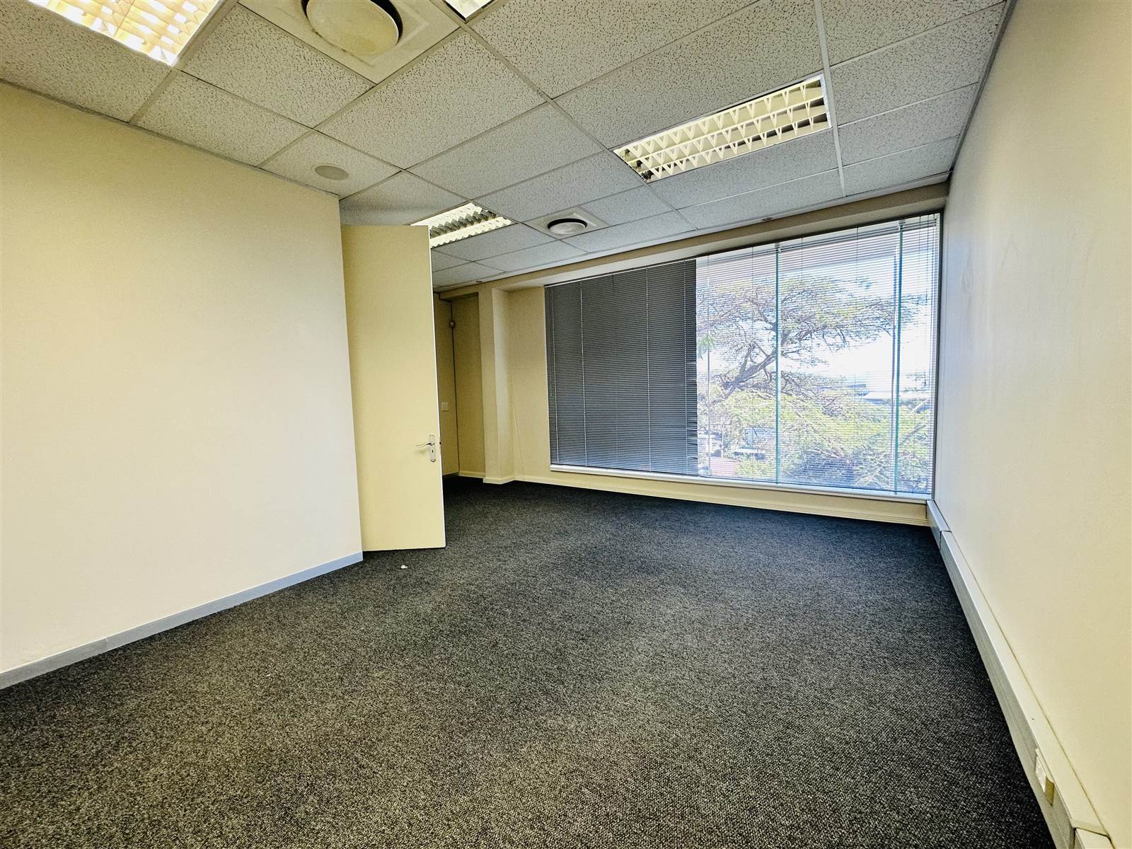 169  m² Commercial space in Somerset Park photo number 11