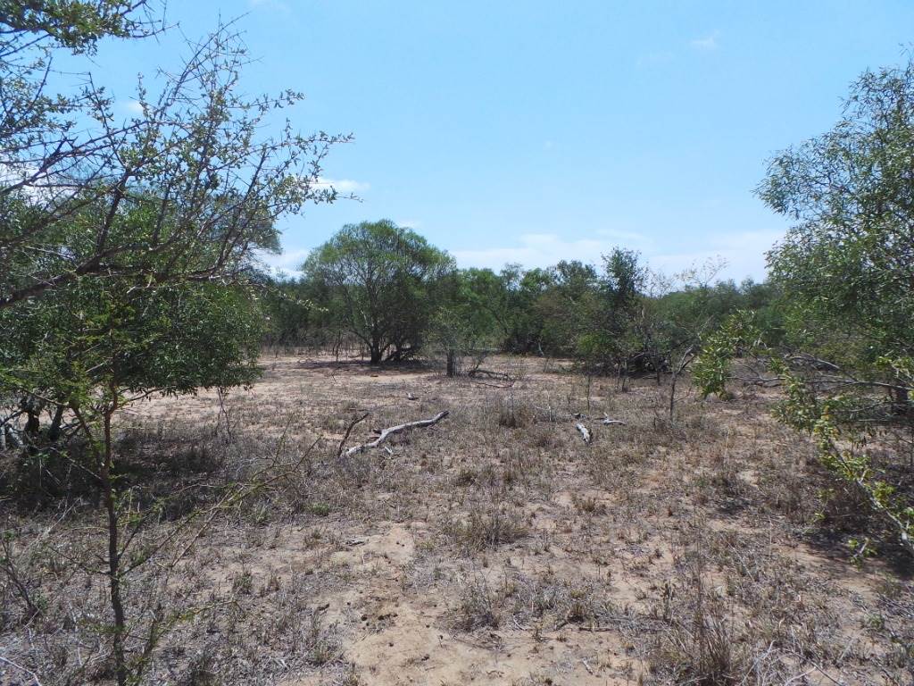 7670 m² Land available in Moditlo Nature Reserve photo number 16