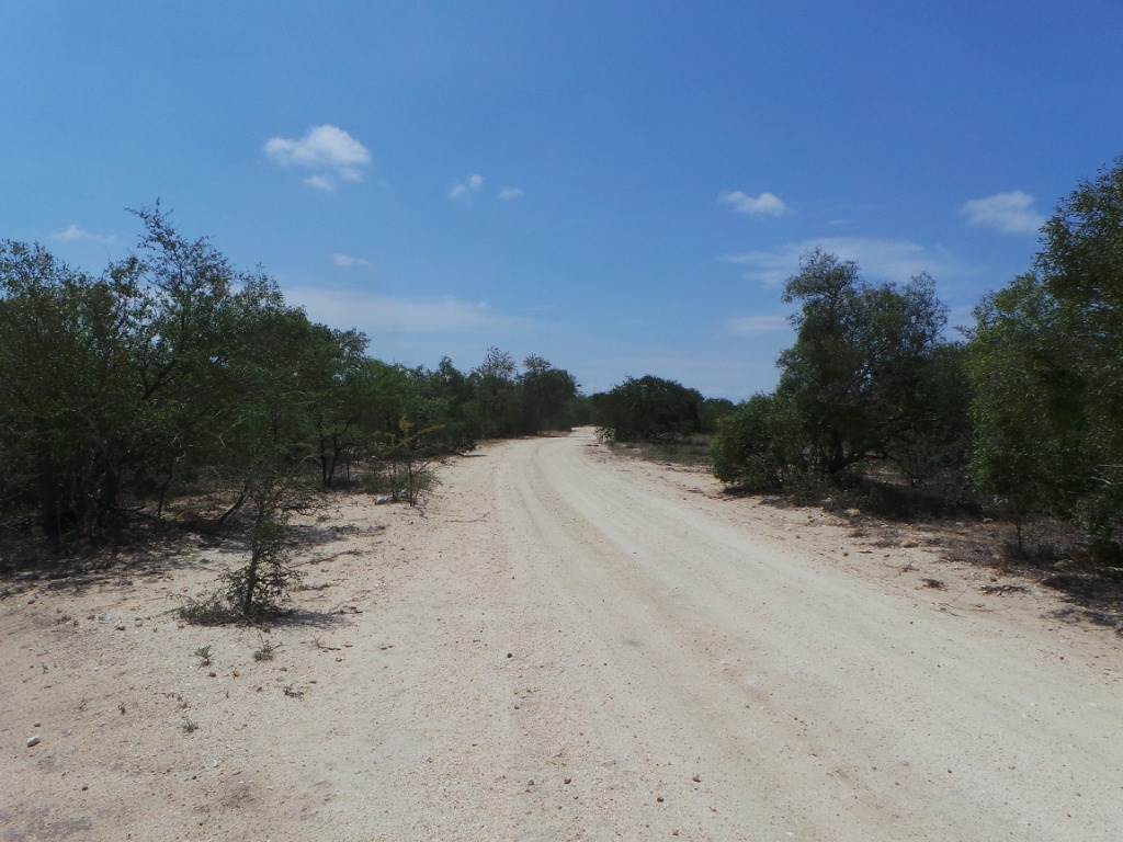 7670 m² Land available in Moditlo Nature Reserve photo number 11