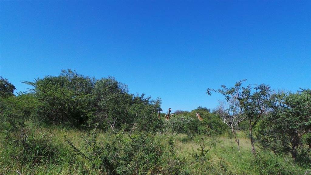 7670 m² Land available in Moditlo Nature Reserve photo number 14
