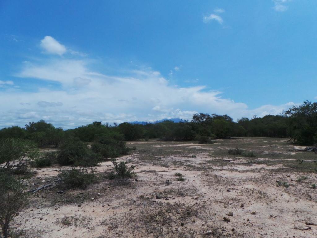 7670 m² Land available in Moditlo Nature Reserve photo number 12