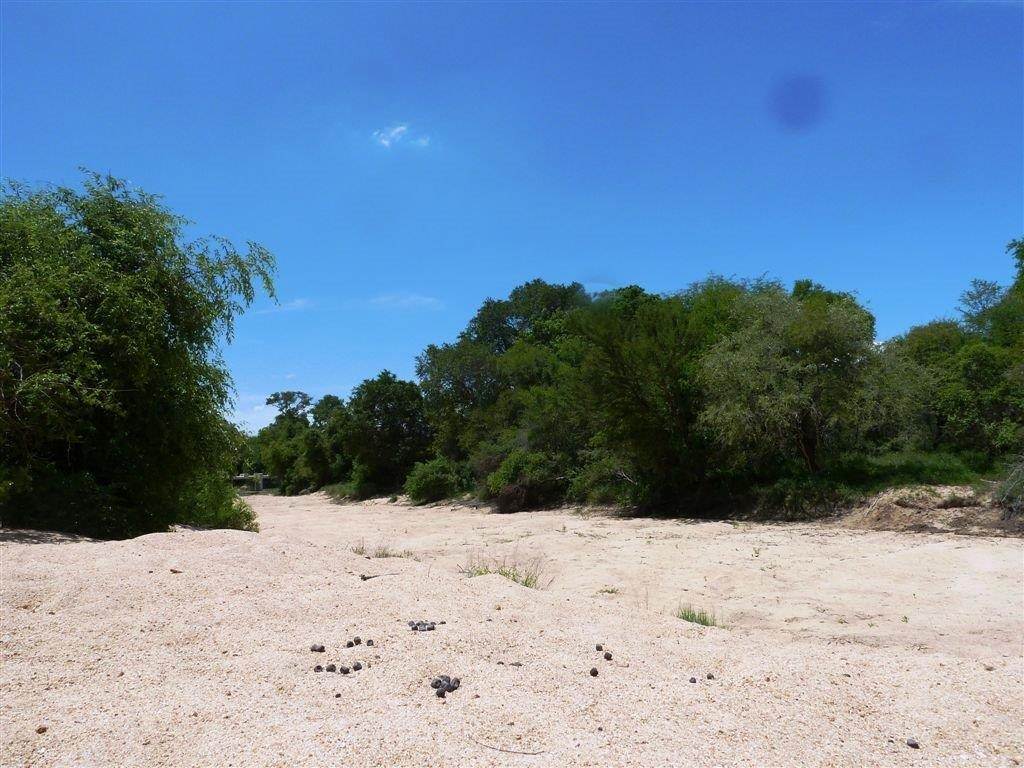 7670 m² Land available in Moditlo Nature Reserve photo number 6