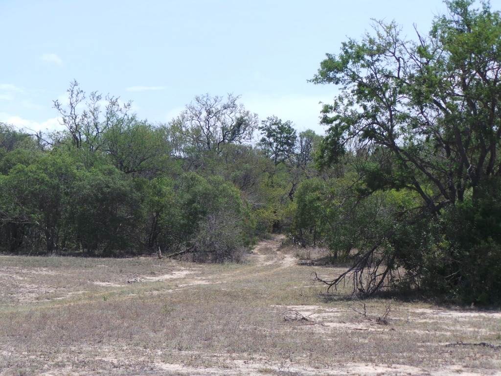 7670 m² Land available in Moditlo Nature Reserve photo number 9