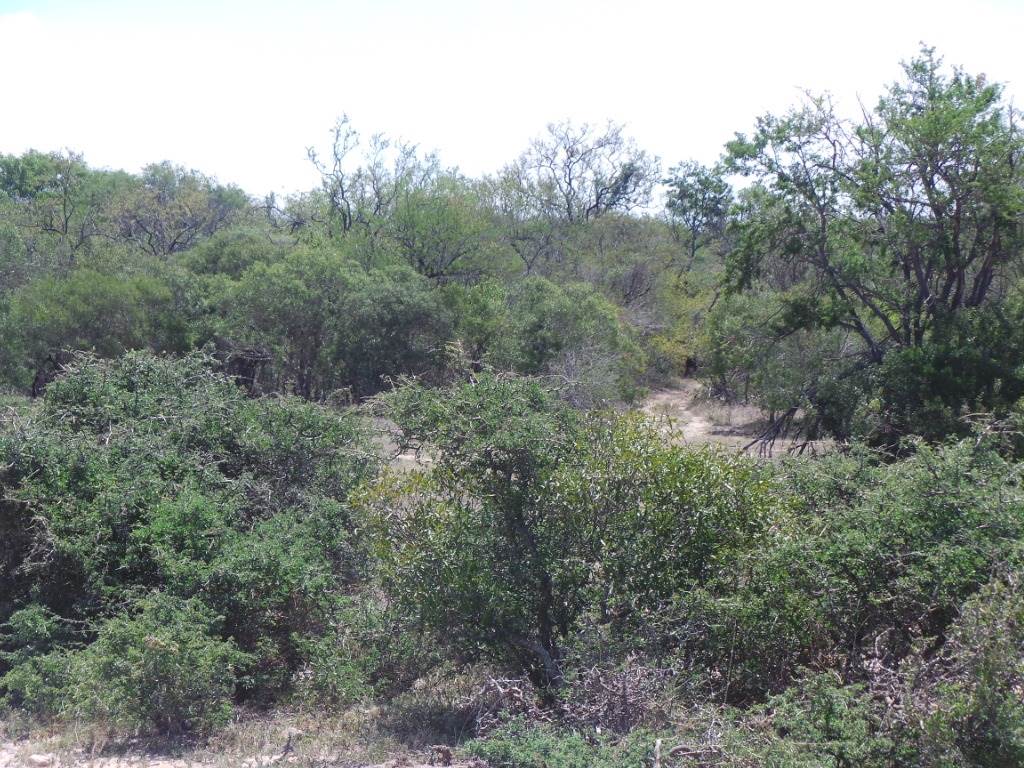 7670 m² Land available in Moditlo Nature Reserve photo number 15