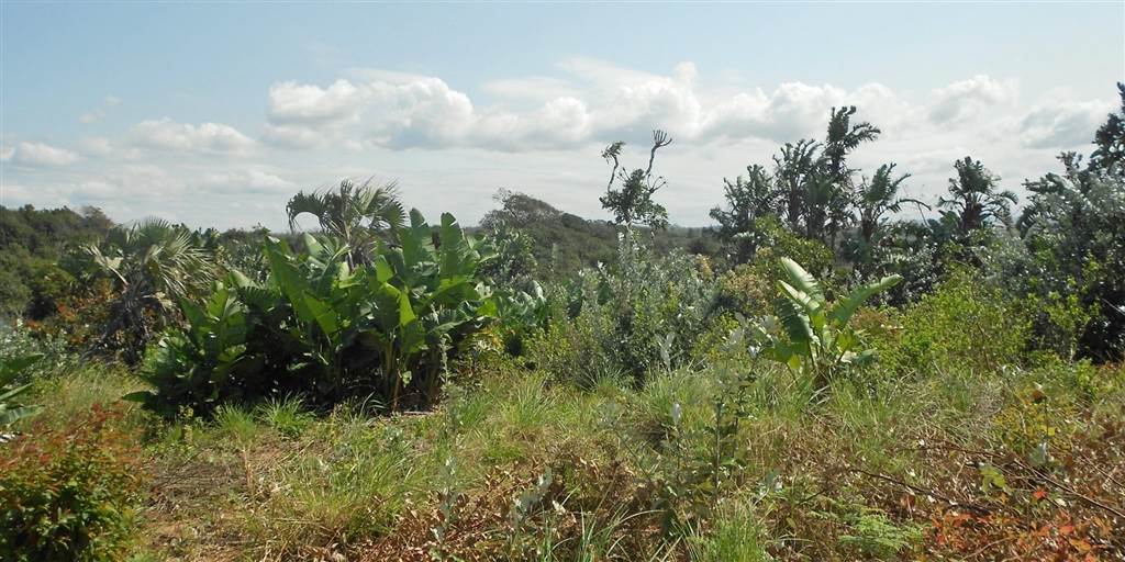 1474 m² Land available in Trafalgar photo number 4
