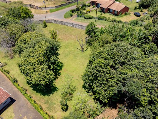 1916 m² Land available in Wyebank