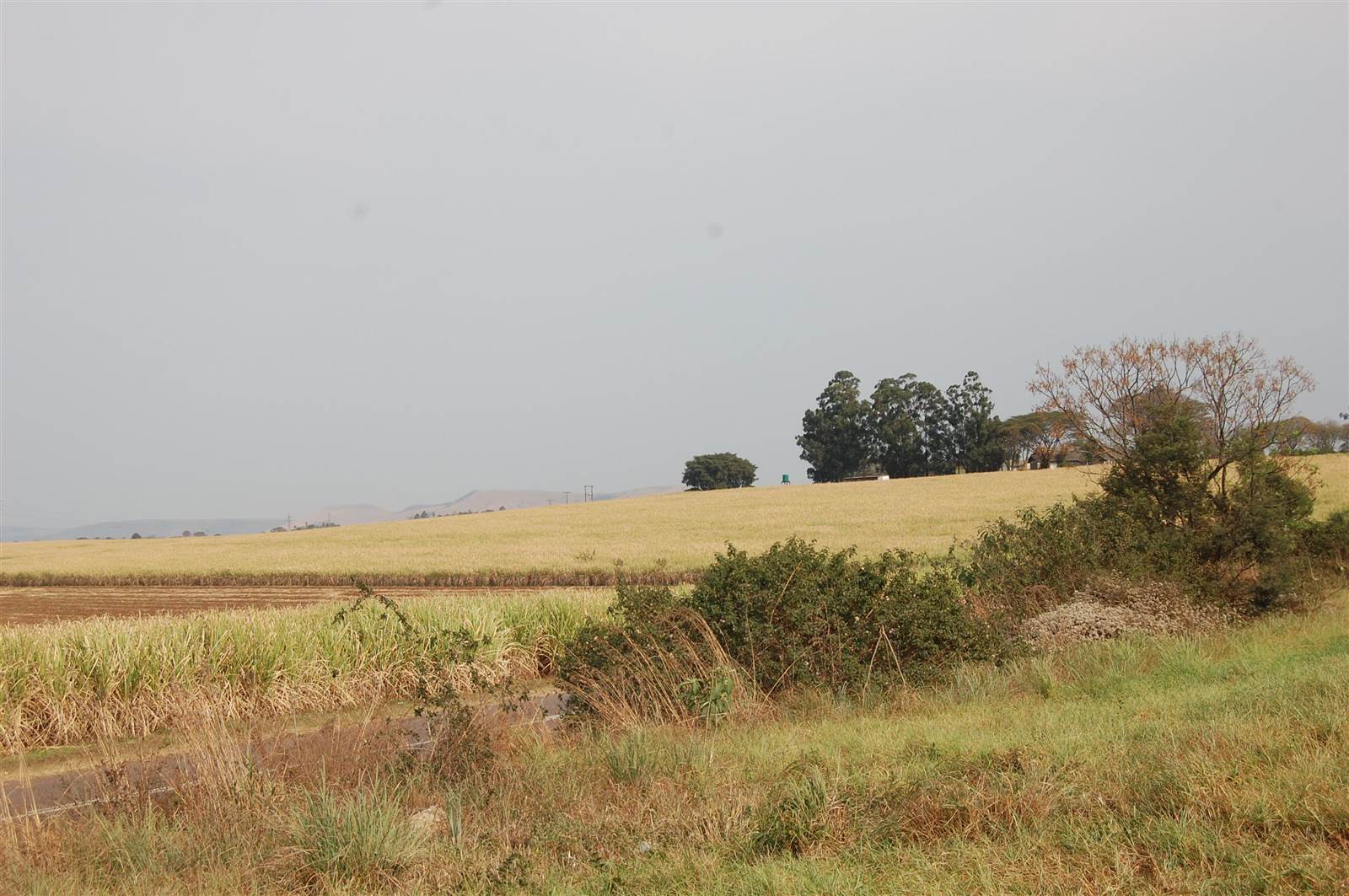 75 ha Land available in Camperdown photo number 8