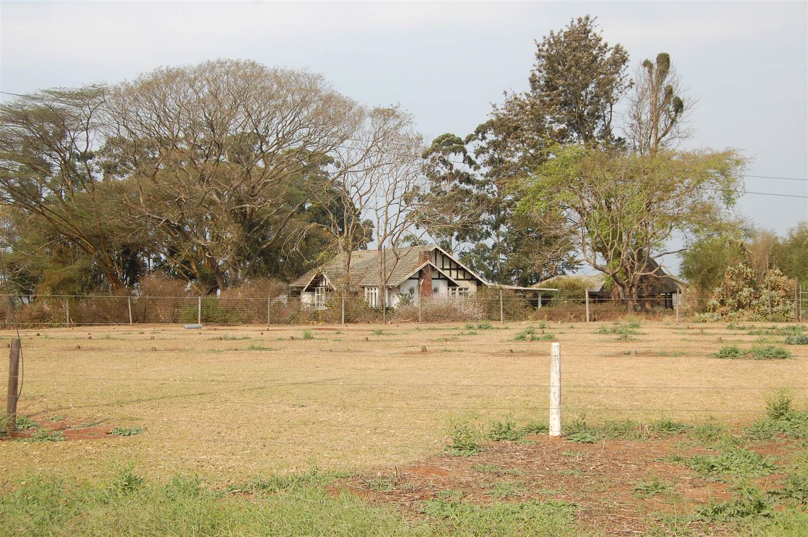 75 ha Land available in Camperdown photo number 7