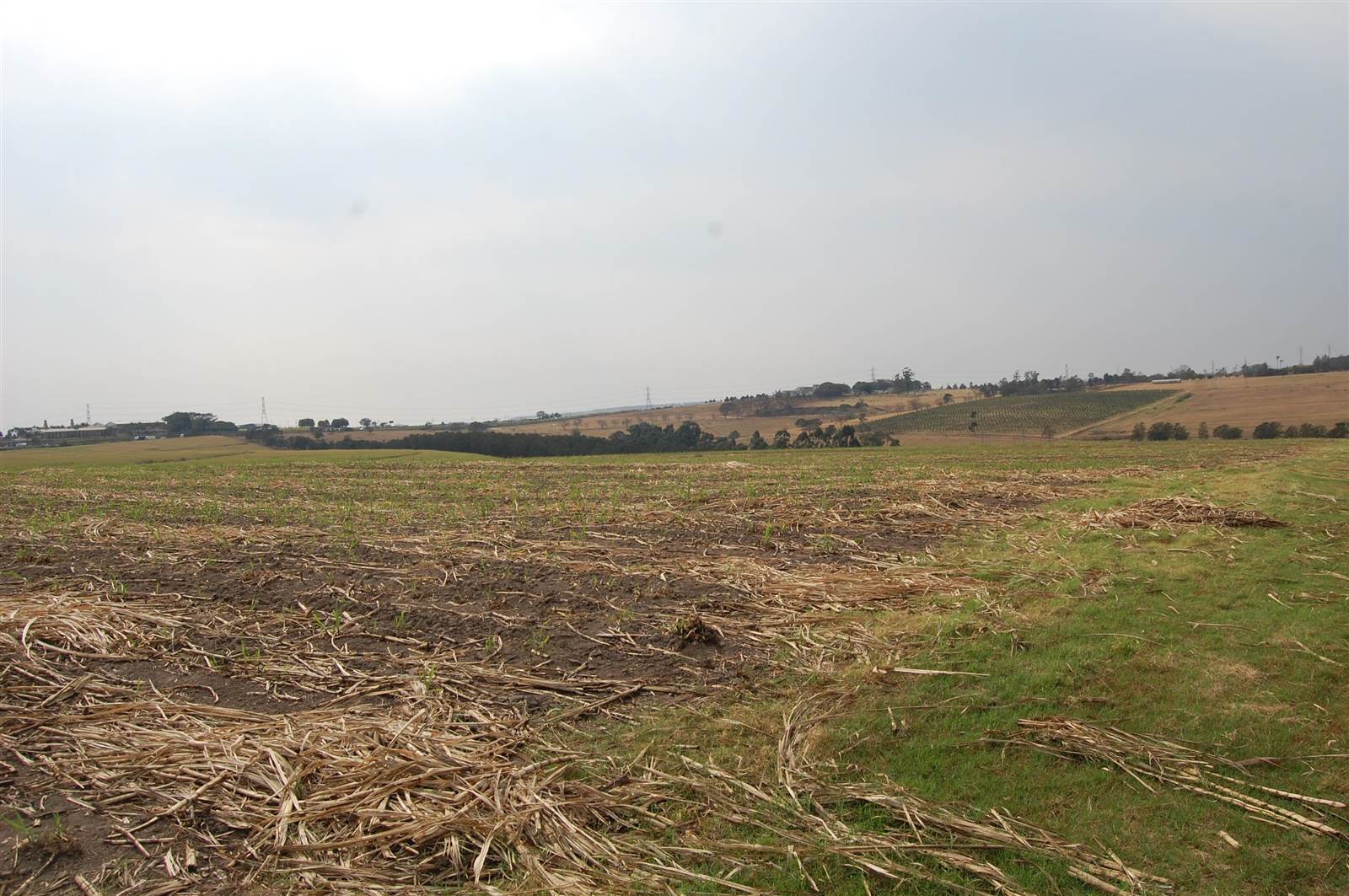 75 ha Land available in Camperdown photo number 6