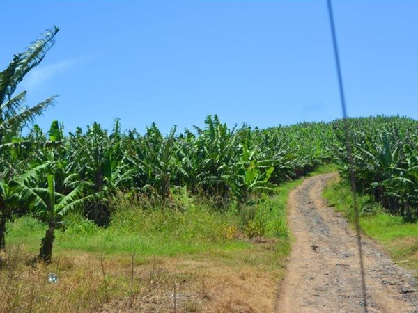40 ha Farm 40 ha Farm