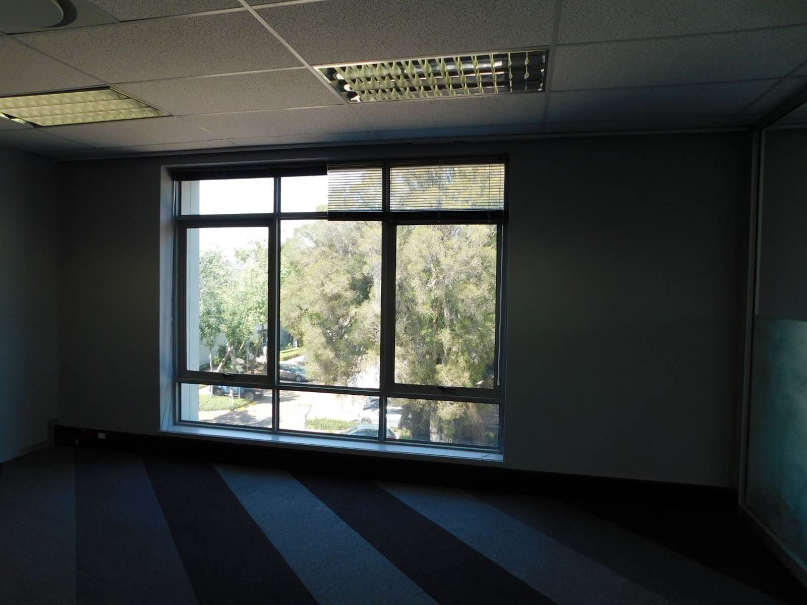 409  m² Commercial space in Illovo photo number 16