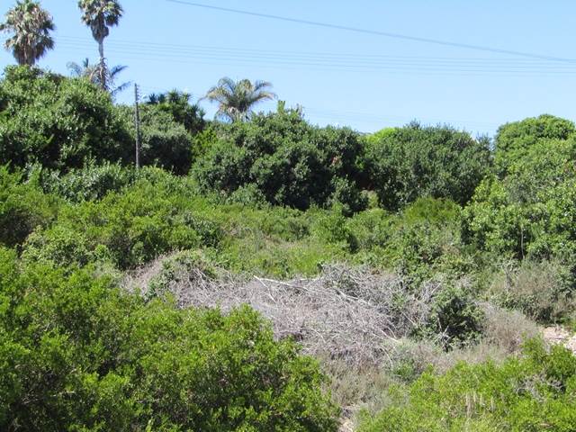 900 m² Land available in Fraaiuitsig photo number 3