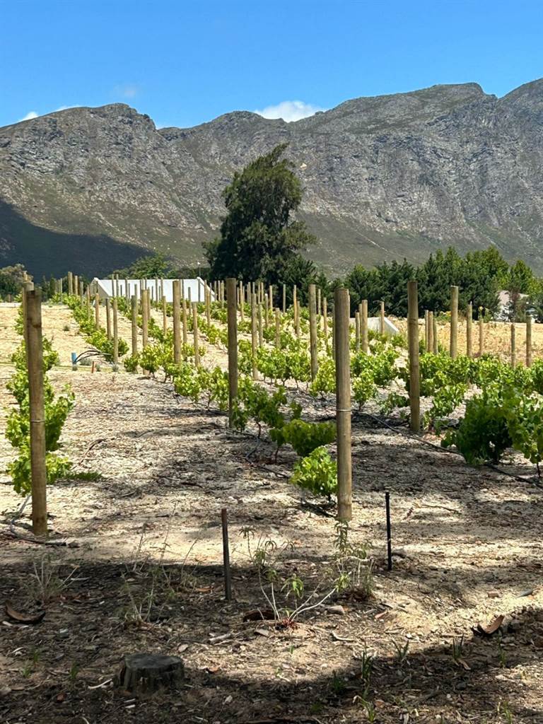 2000 m² Land available in Franschhoek photo number 15