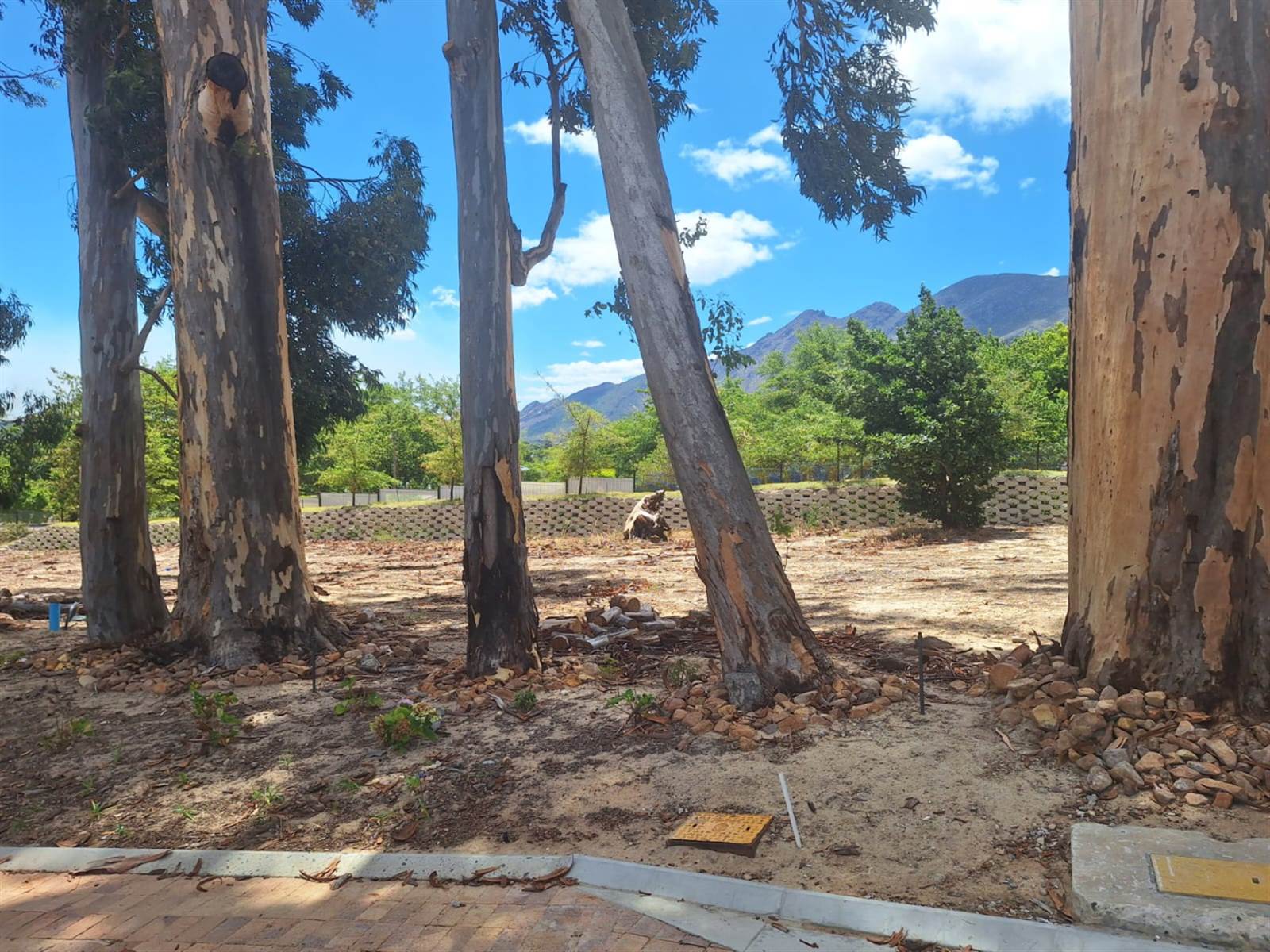 2000 m² Land available in Franschhoek photo number 4