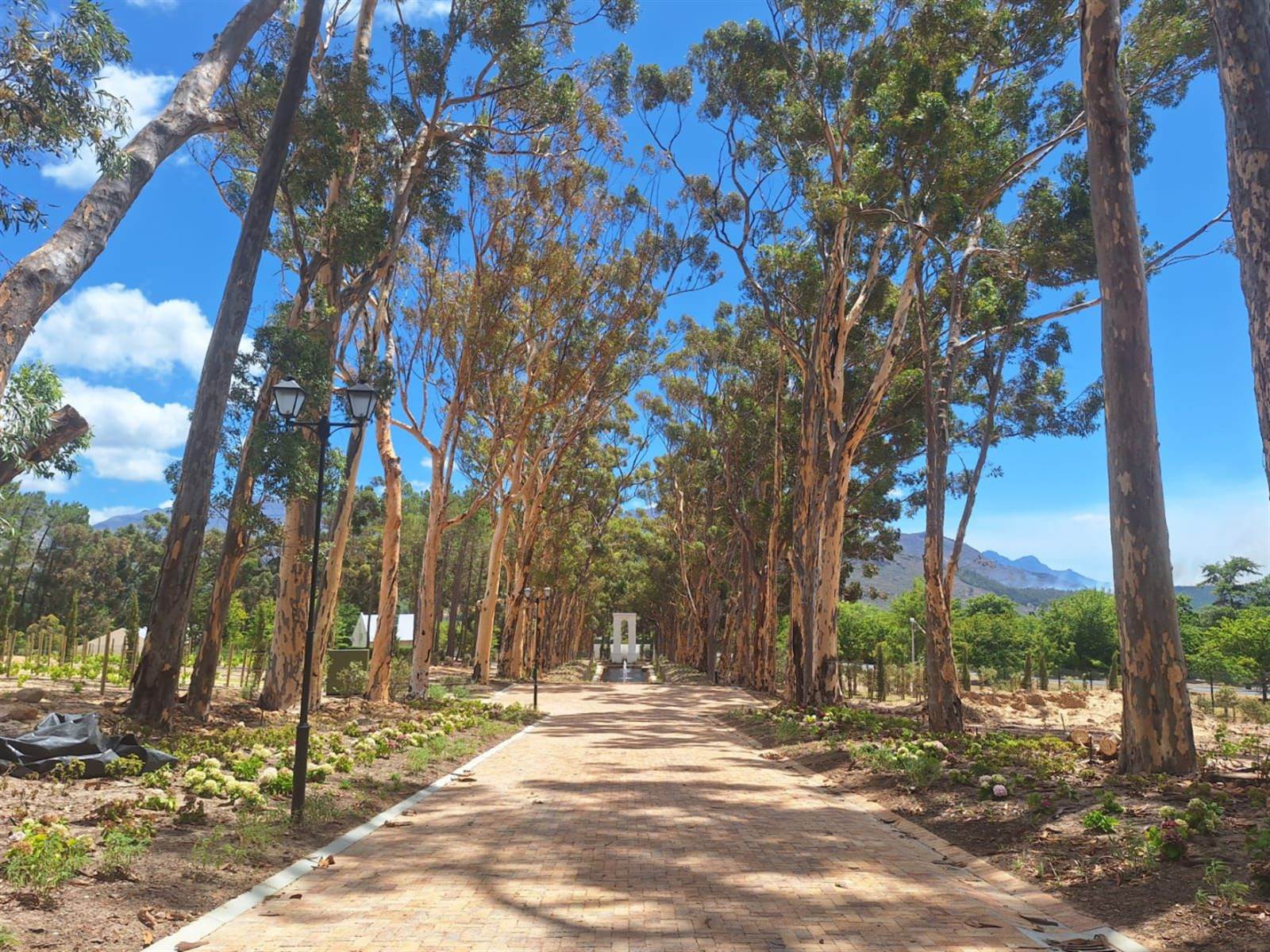 2000 m² Land available in Franschhoek photo number 13