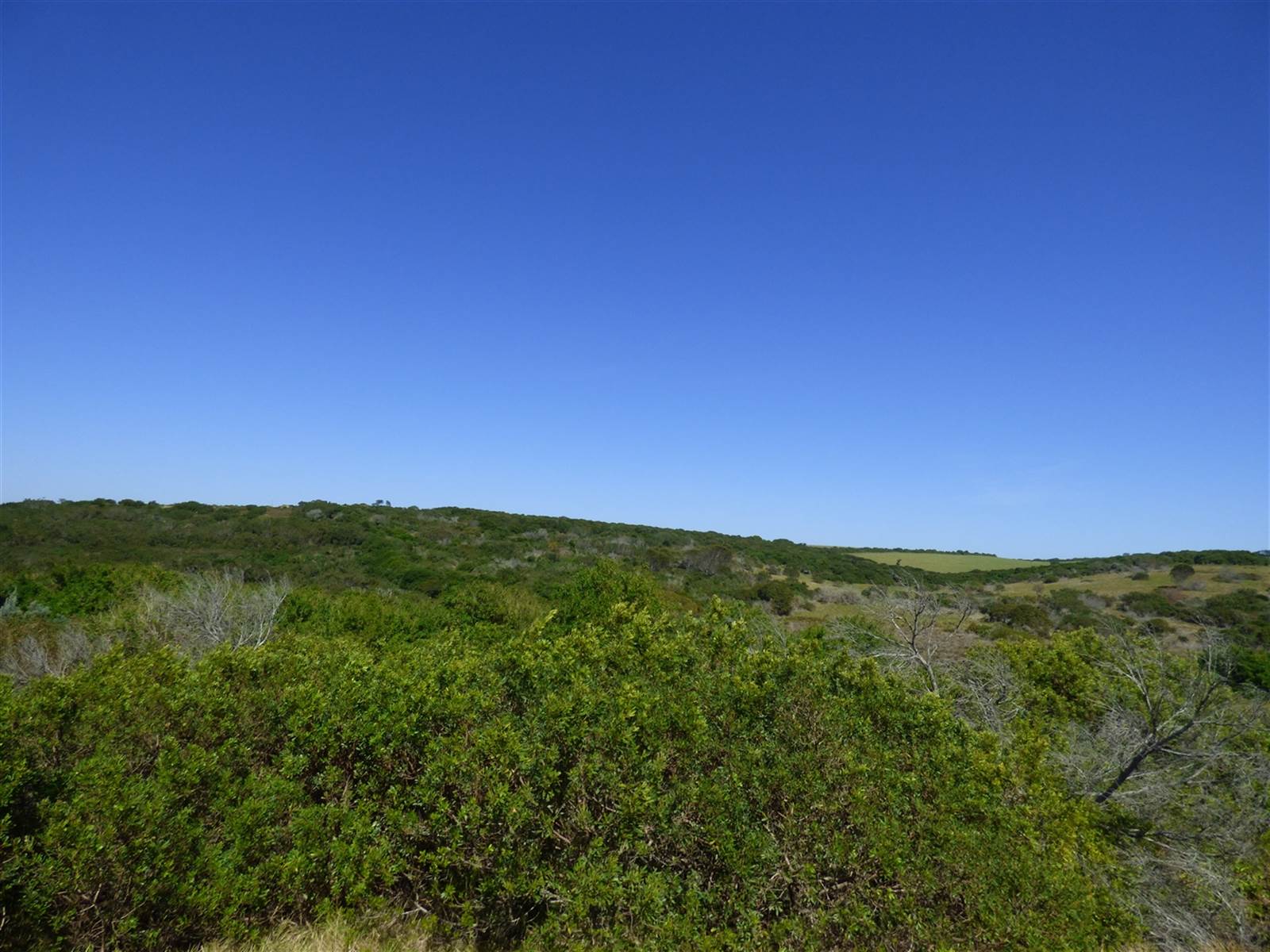 1090 m² Land available in Port Alfred photo number 6