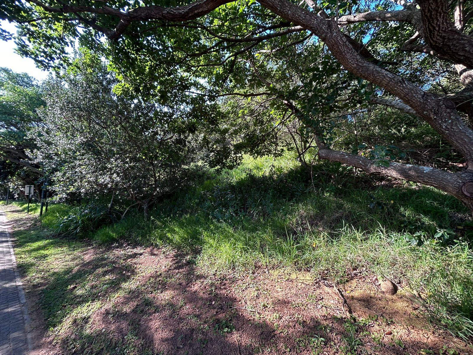 1538 m² Land available in Brettenwood Coastal Estate photo number 11