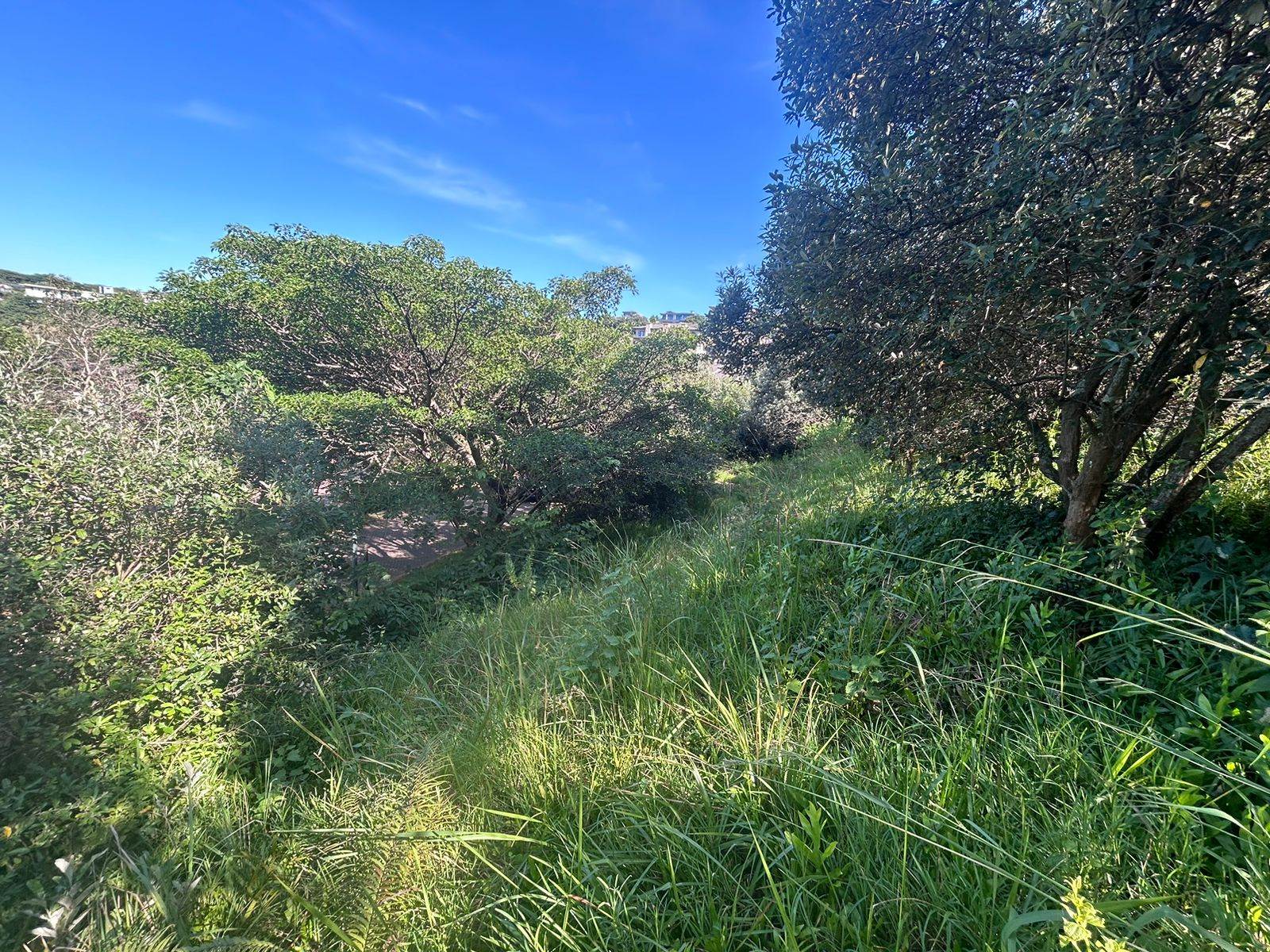 1538 m² Land available in Brettenwood Coastal Estate photo number 8