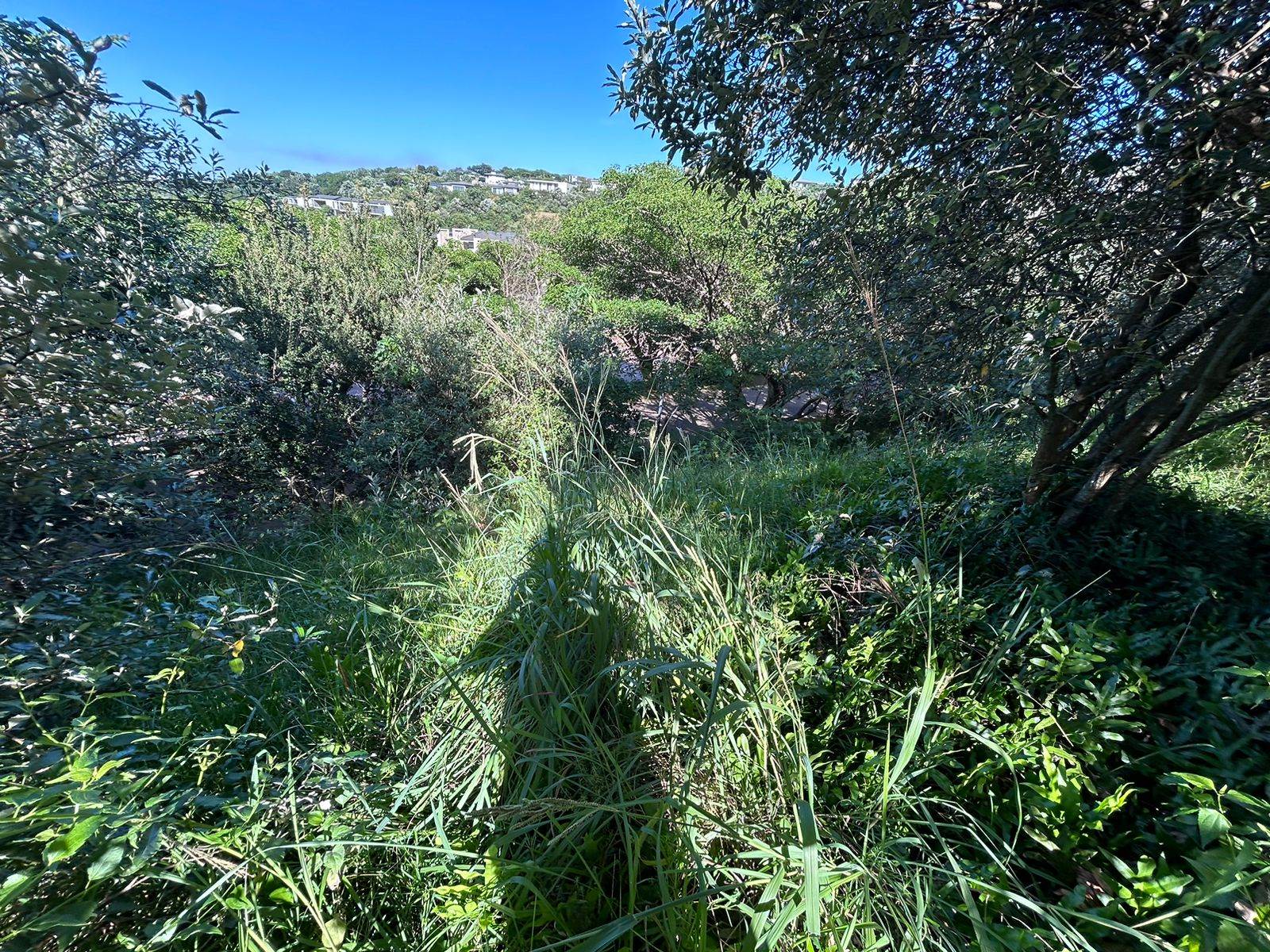 1538 m² Land available in Brettenwood Coastal Estate photo number 5