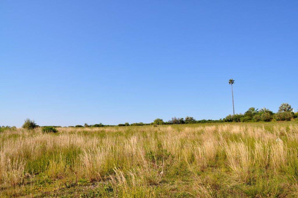 994 m² Land available in Baron View photo number 3