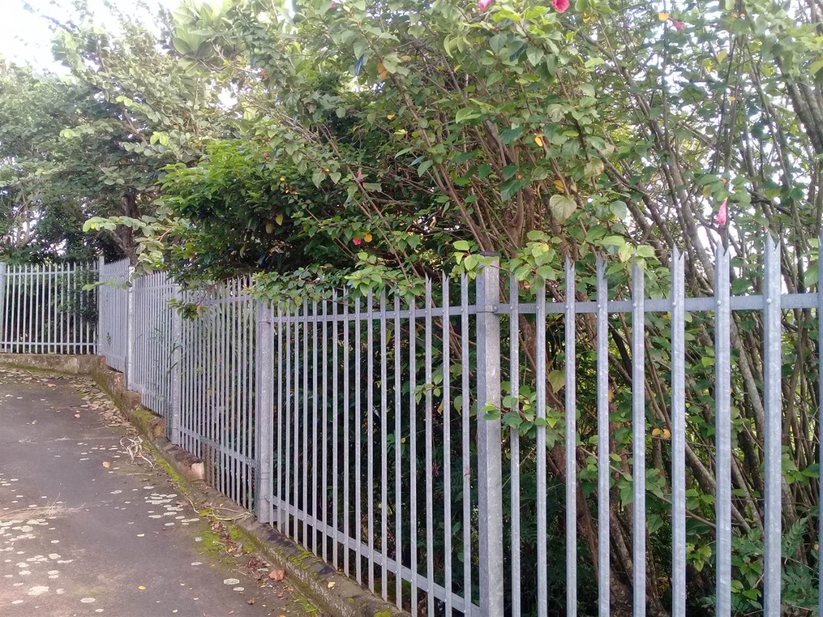 4000 m² Land available in Ramsgate photo number 21