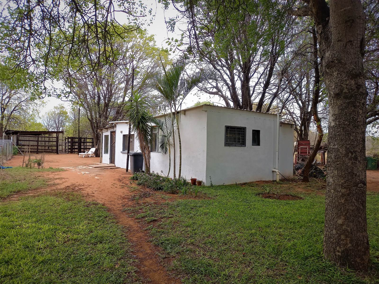 23 ha Smallholding in Phalaborwa photo number 26