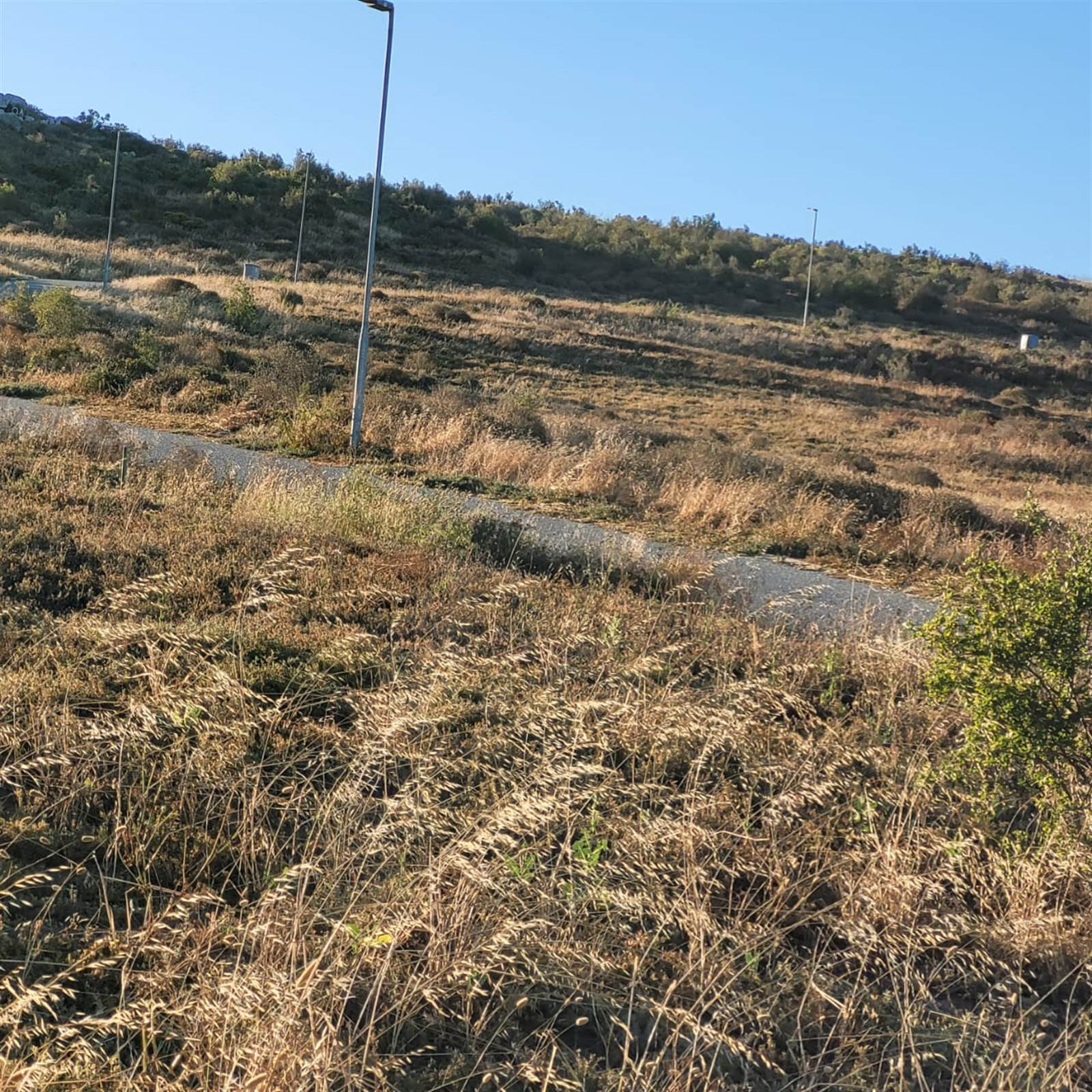 559 m² Land available in Saldanha photo number 4