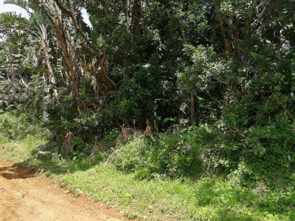 1866 m² Land available in Palm Beach