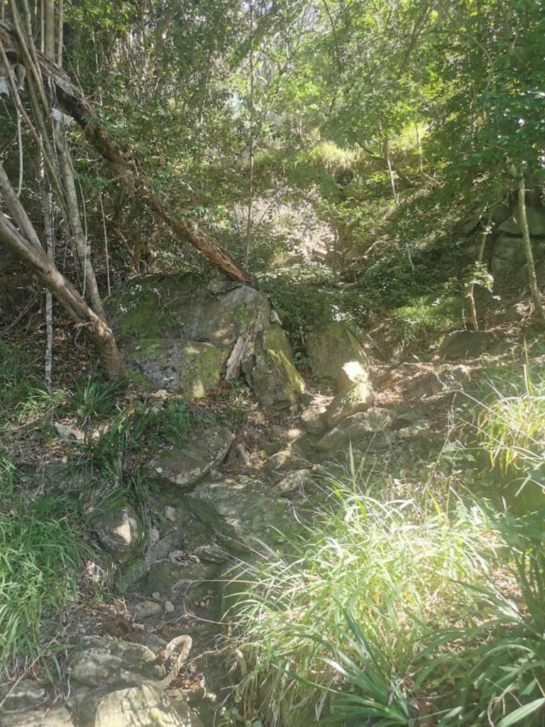 1024 m² Land available in Wilderness photo number 7