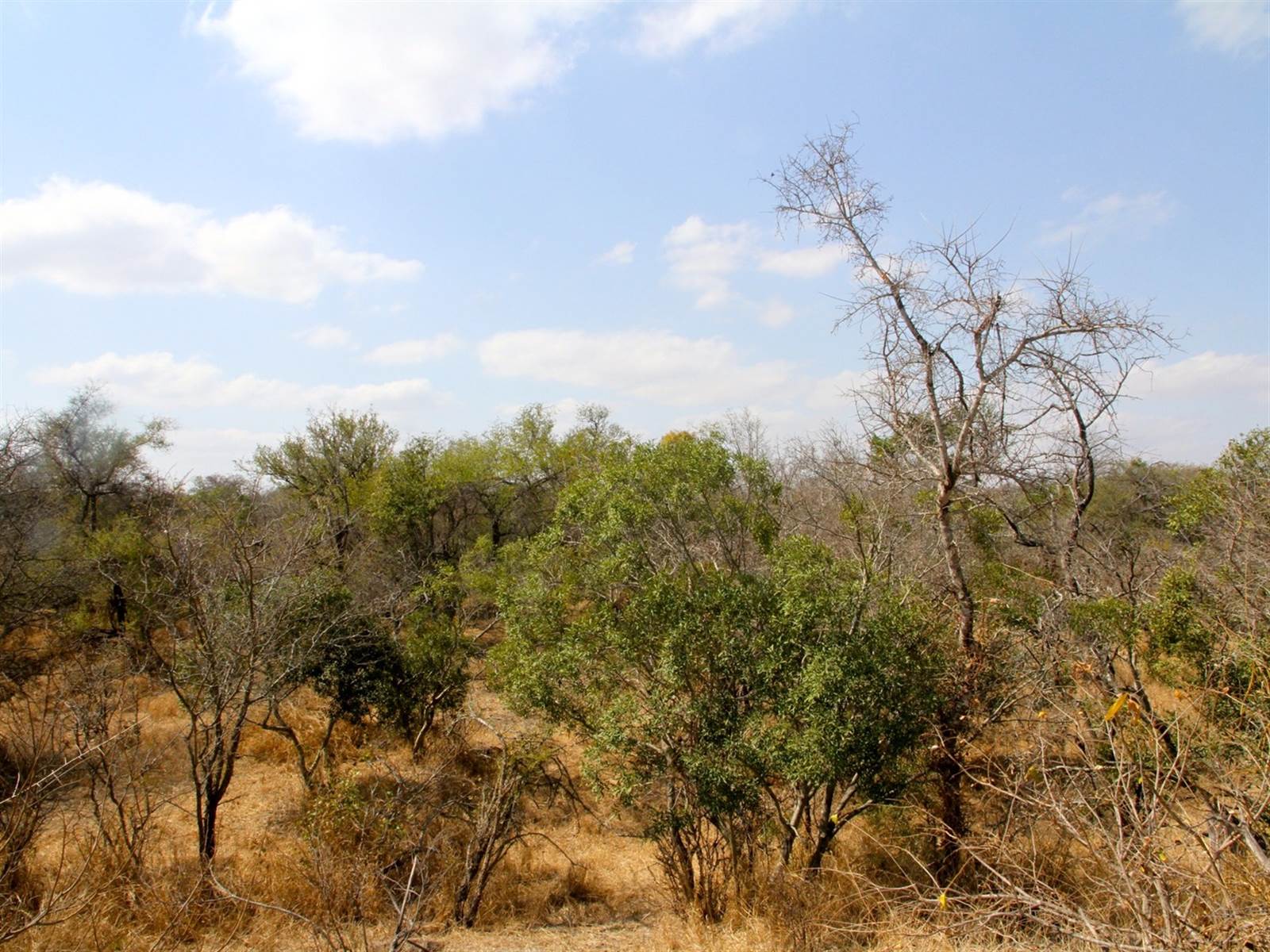 9114 m² Land available in Moditlo Nature Reserve photo number 4