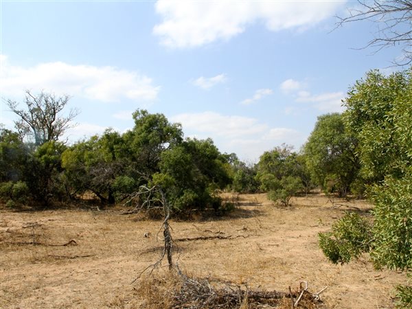 9114 m² Land available in Moditlo Nature Reserve
