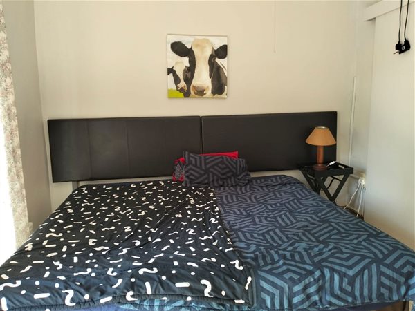 1 Bed Apartment