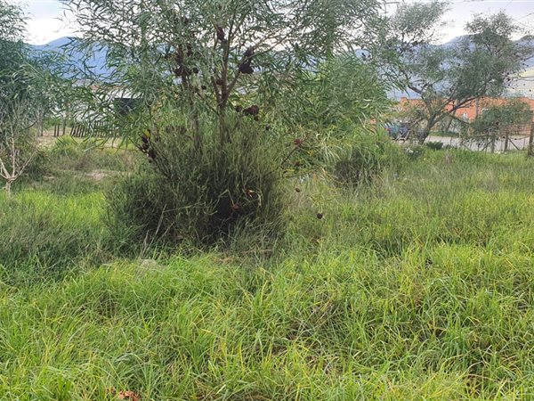 533 m² Land available in Stanford