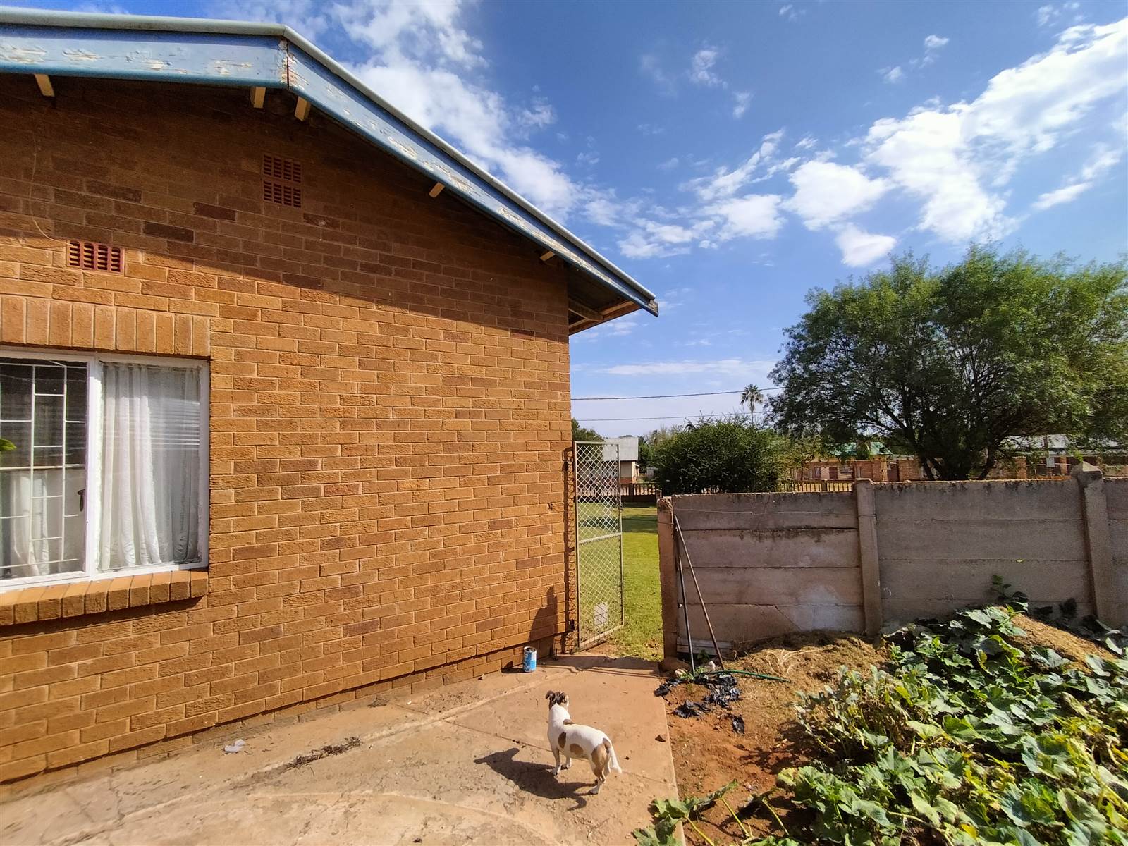 4 Bed House in Jan Kempdorp photo number 8