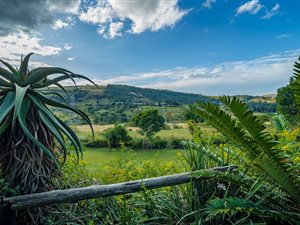4.6 ha Smallholding in Hammarsdale