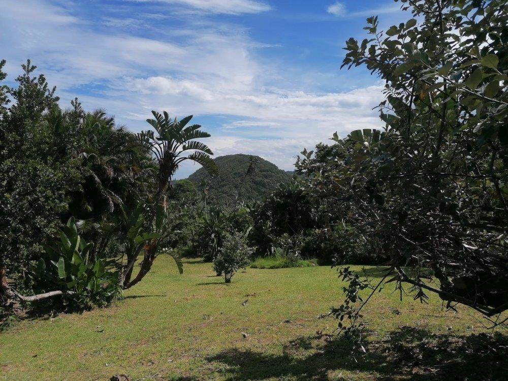 3182 m² Land available in Leisure Bay photo number 5