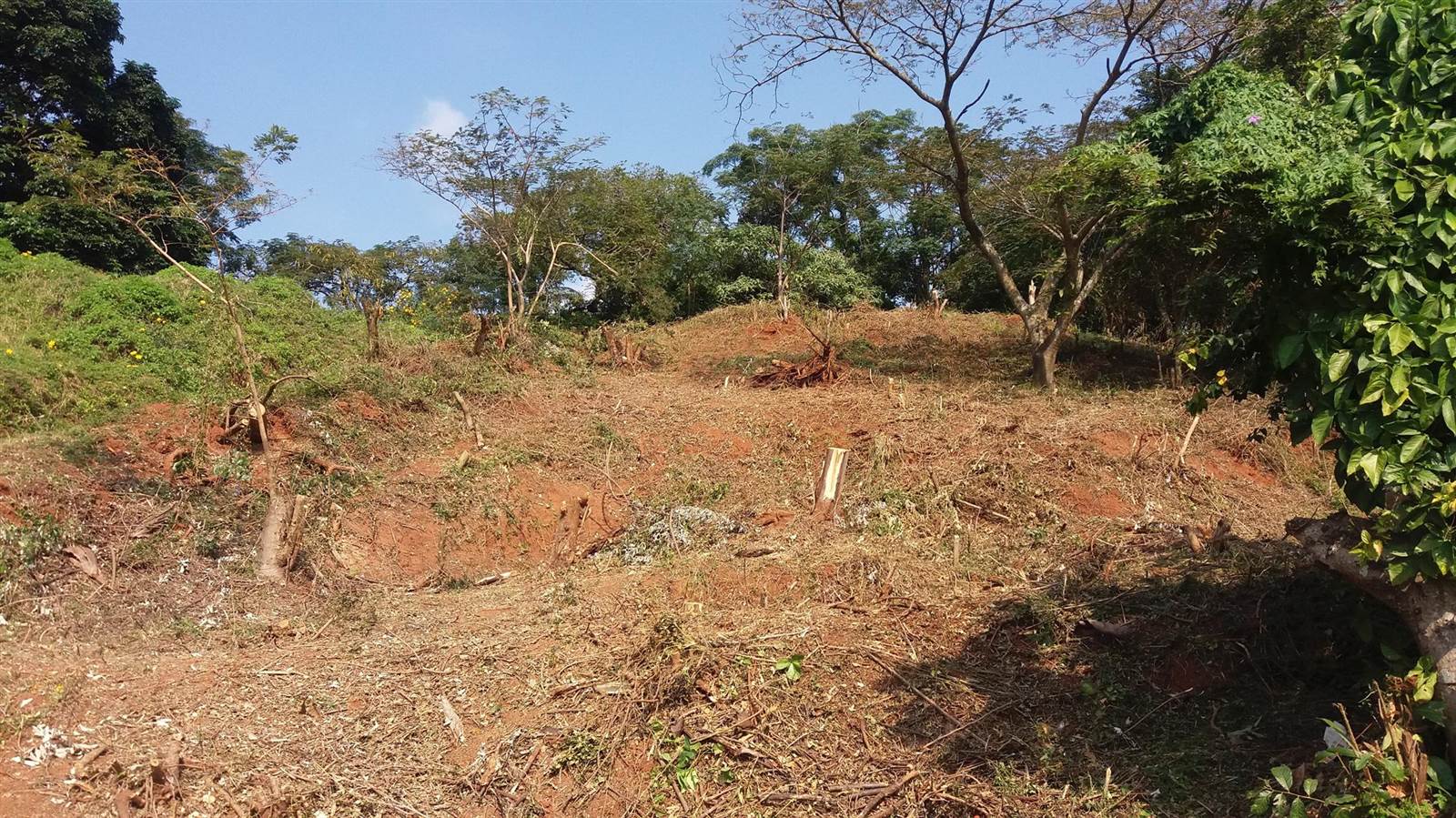 1060 m² Land available in Pennington photo number 16