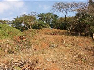 1060 m² Land available in Pennington