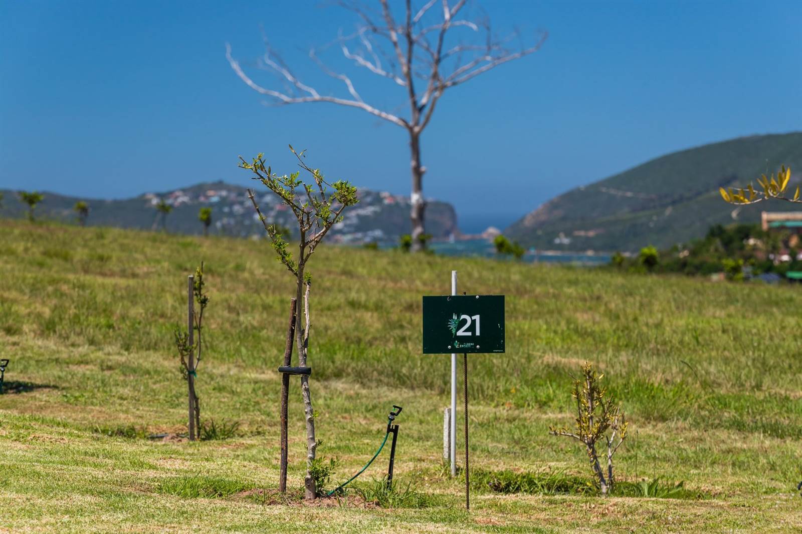 1650 m² Land available in Knysna Central photo number 2
