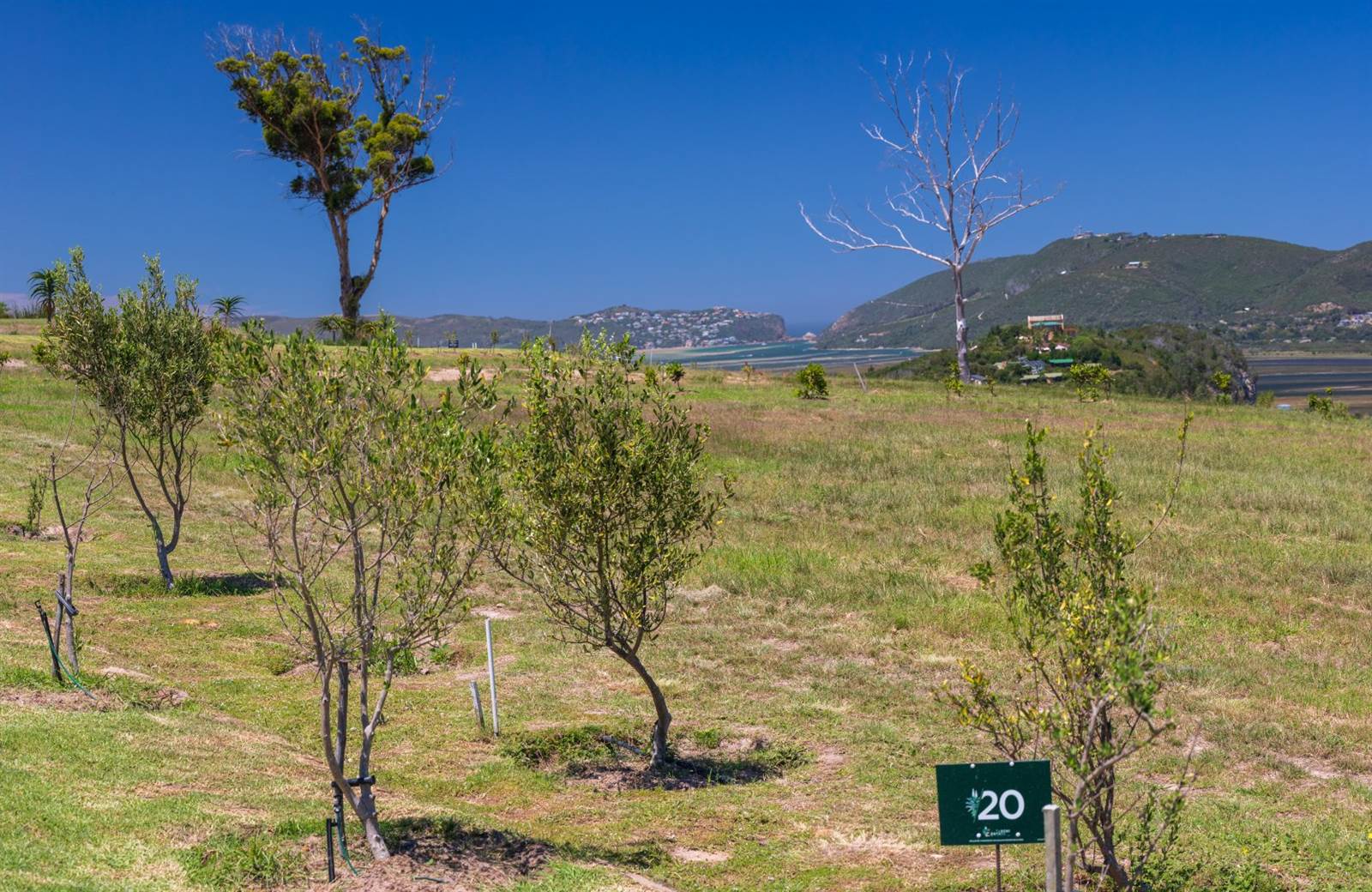 1650 m² Land available in Knysna Central photo number 5