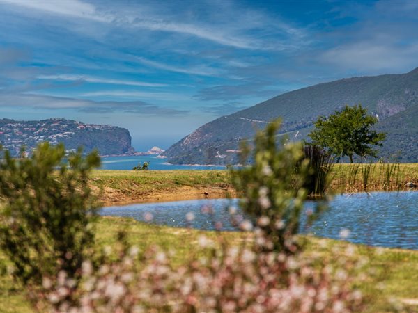1650 m² Land available in Knysna Central