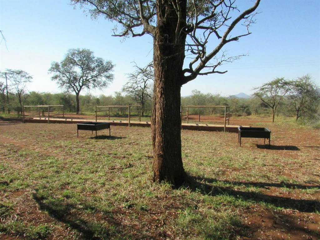 Game Farm in Tzaneen photo number 7