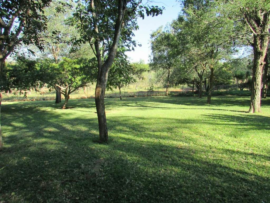 Game Farm in Tzaneen photo number 11