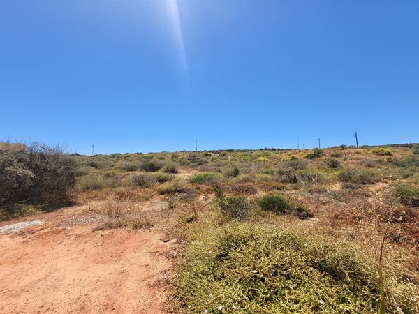 1200 m² Land available in Clanwilliam