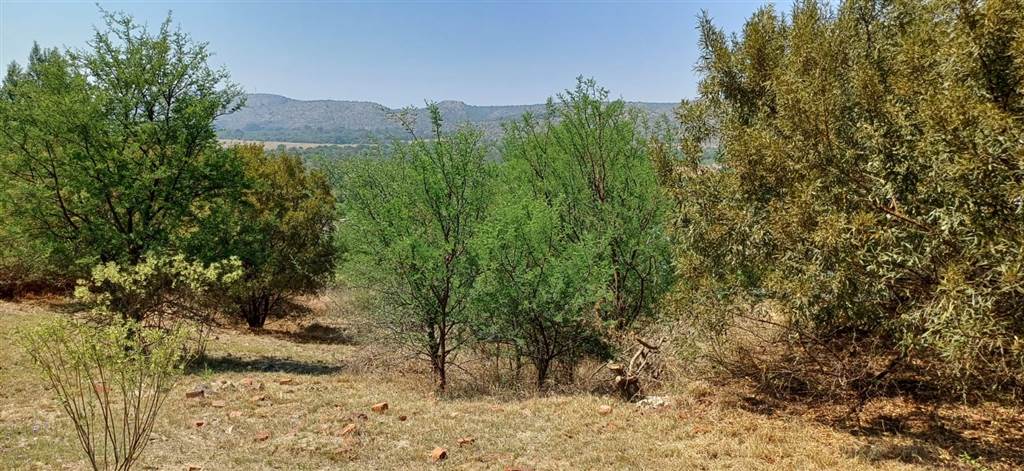 1096 m² Land available in Xanadu Eco Park photo number 1