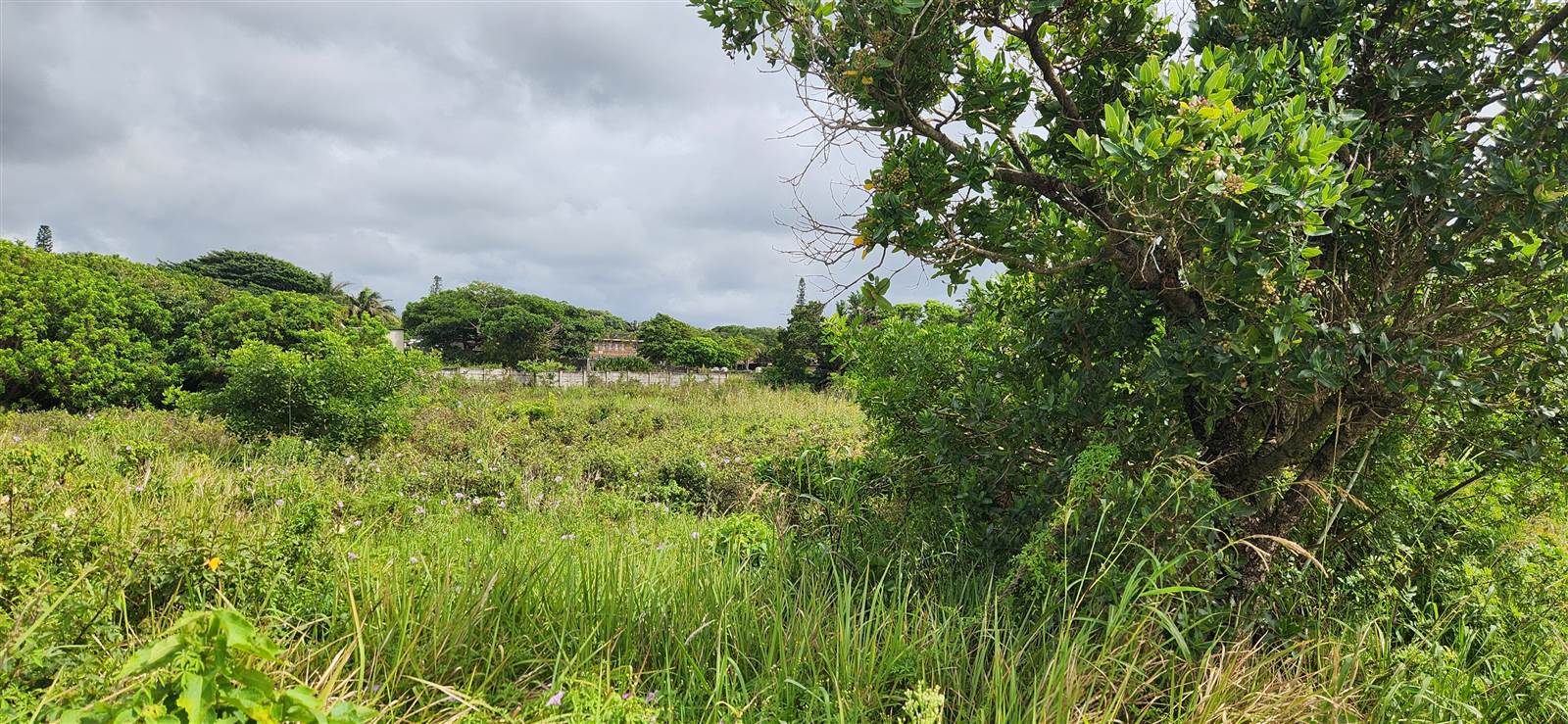 1879 m² Land available in Port Edward photo number 2