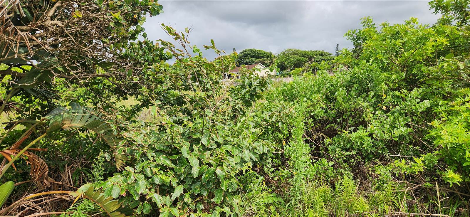 1879 m² Land available in Port Edward photo number 22