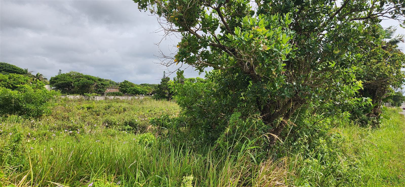 1879 m² Land available in Port Edward photo number 8