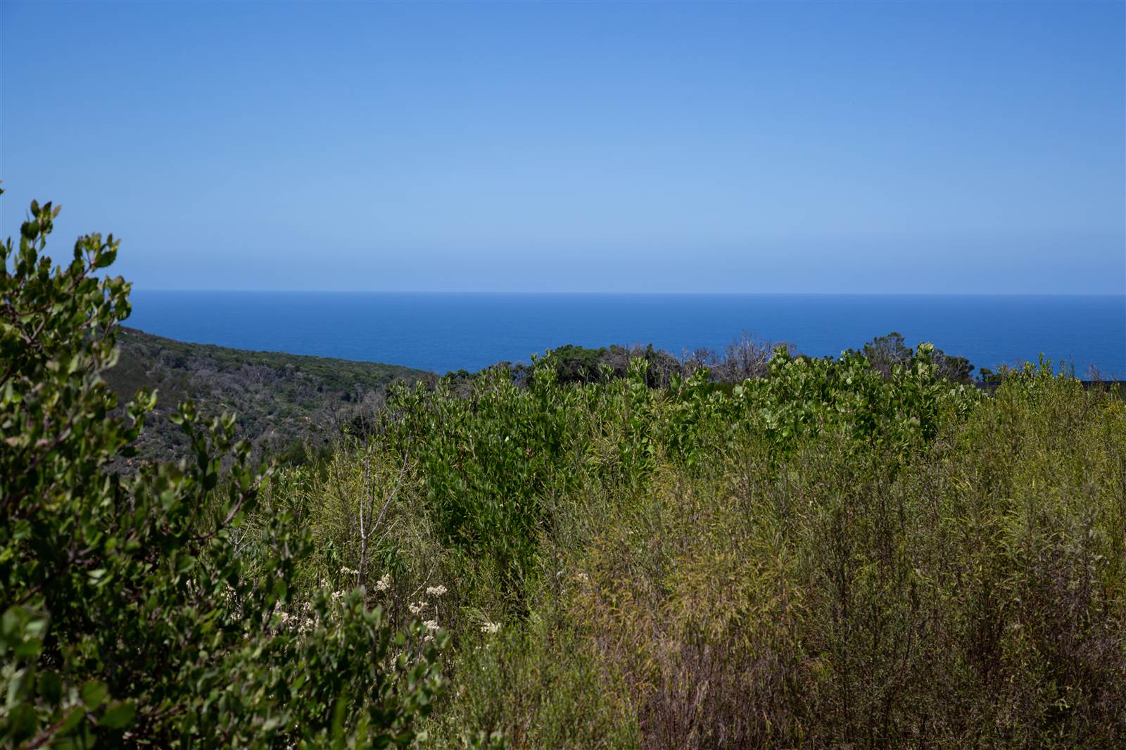 4032 m² Land available in Pezula Private Estate photo number 15