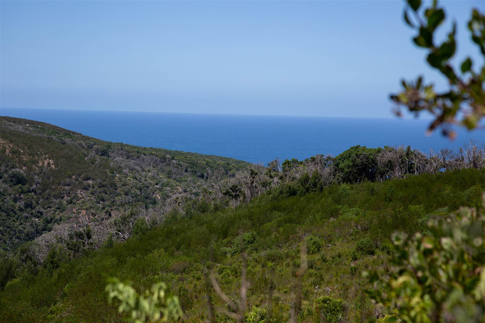 4032 m² Land available in Pezula Private Estate photo number 1